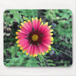 Tapis De Souris Plaque de souris Gerbera Daisy