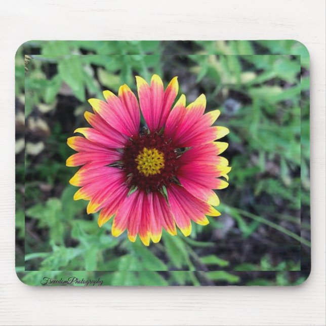 Tapis De Souris Plaque de souris Gerbera Daisy (Devant)