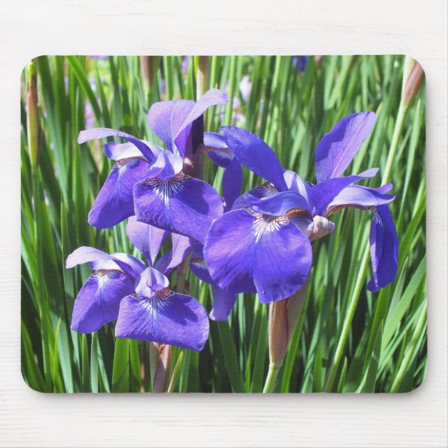Tapis De Souris Plaque de souris Iris Violet (Devant)