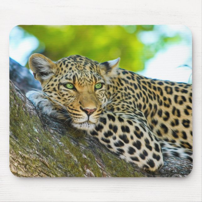 Tapis De Souris Plaque de souris léopard de Tanzanie (Devant)