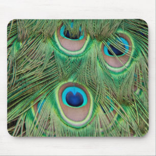Tapis De Souris Plumage de paon