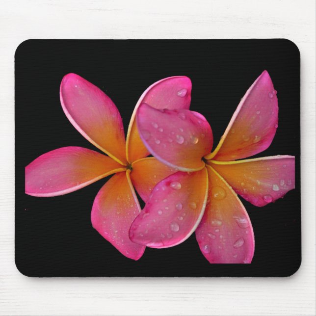 Tapis De Souris Plumeria de rayon de soleil de Kaneohe (Devant)