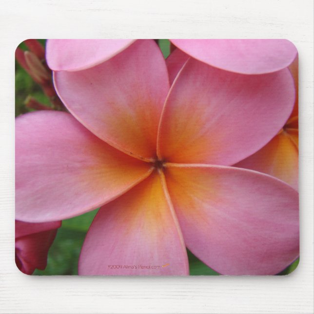 Tapis De Souris Plumeria rose Mousepad (Devant)