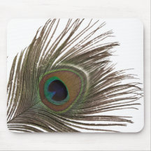 Plumes de paon