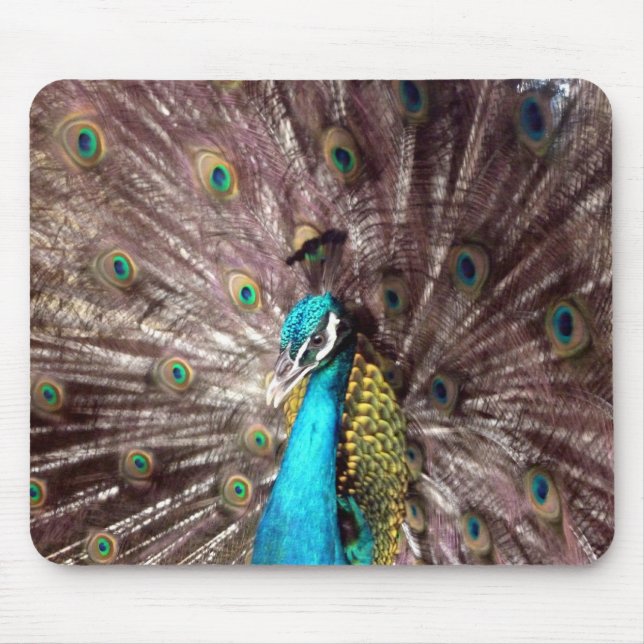 Tapis De Souris plumes de paon (Devant)