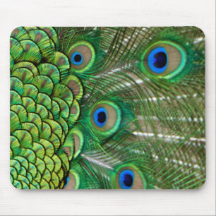Tapis De Souris Plumes de paon