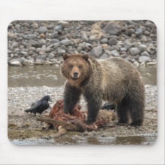 Tapis De Souris Pochette de souris Grizzly Bear et Raven