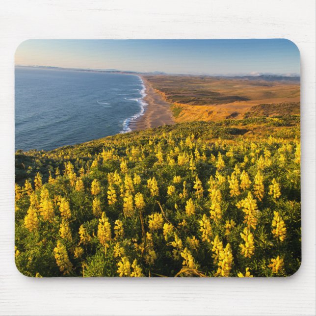 Tapis De Souris Point Reyes National Seashore California (Devant)