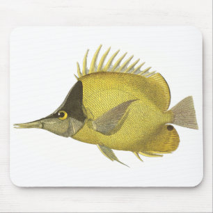 Tapis De Souris Poisson Chelmon Tropical Jaune Longirostris, Poiss
