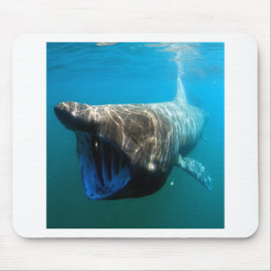Tapis De Souris Poisson de requin Océan tropical Destin Cadeaux