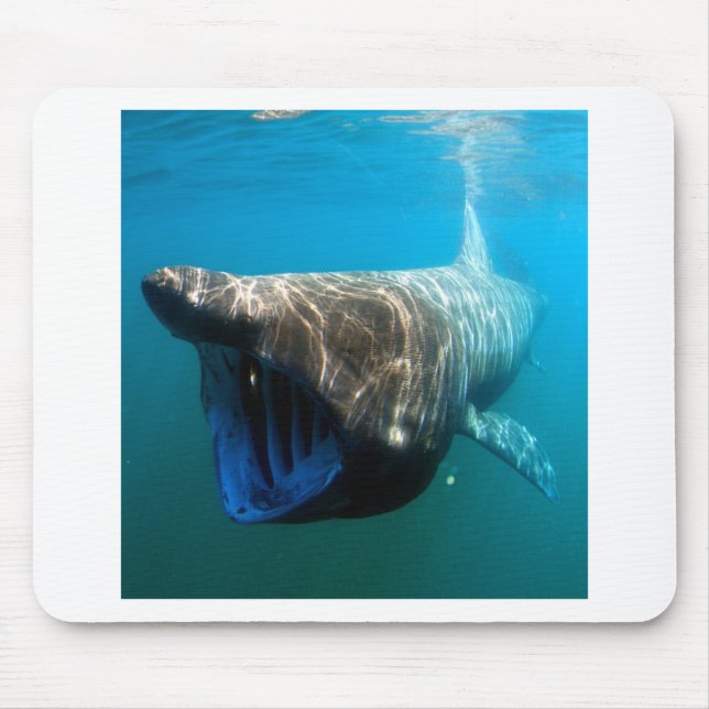 Tapis De Souris Poisson de requin Océan tropical Destin Cadeaux (Devant)
