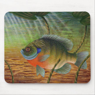 Tapis De Souris Poisson de soleil