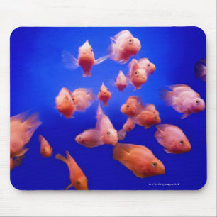 Tapis De Souris Poisson rouge 2
