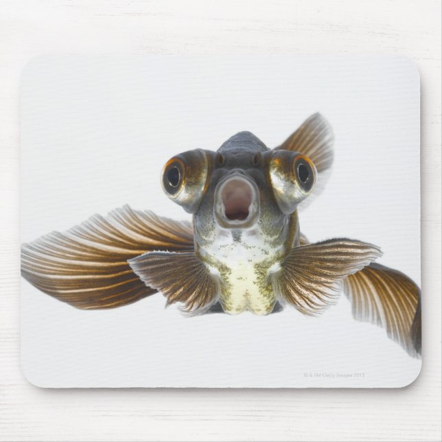 Tapis De Souris Poisson rouge noir (Carassius auratus) (Devant)