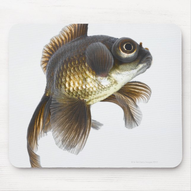 Tapis De Souris Poisson rouge noir (Carassius auratus) 2 (Devant)