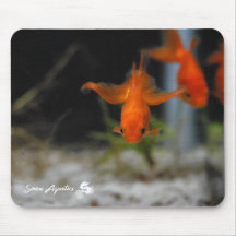 Poisson rouge orange Mousepad de rose des vents de