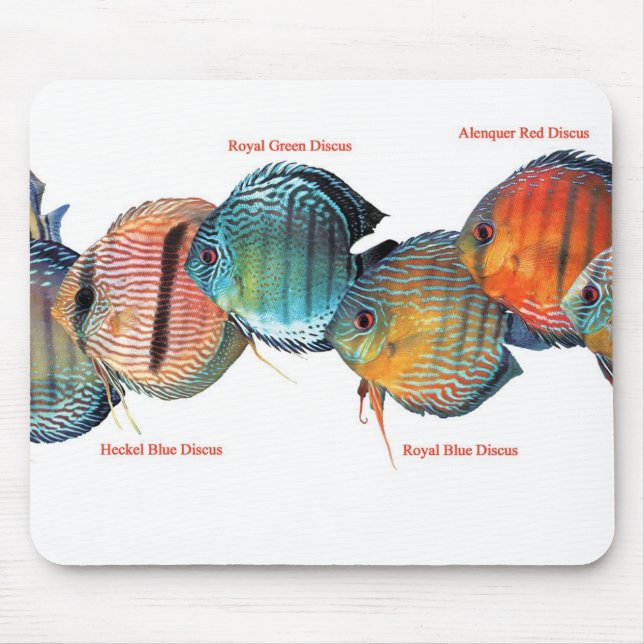 Tapis De Souris Poisson sauvageの ド マ パ (Devant)