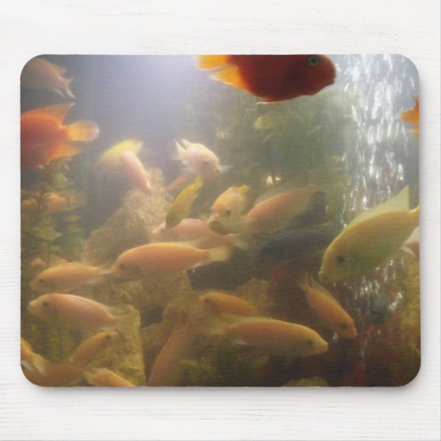 Tapis De Souris Poissons dans un aquarium Mousepad (Devant)