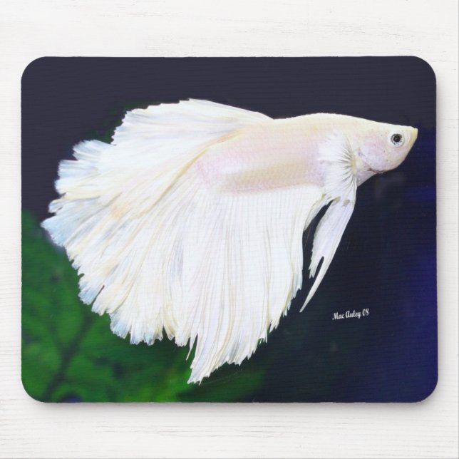 Tapis De Souris Poissons de Betta de platine (Devant)