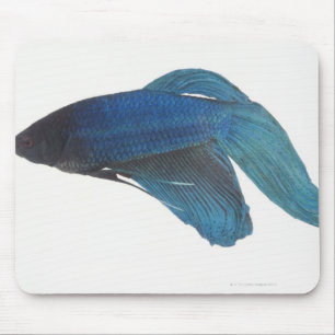 Tapis De Souris Poissons de Betta ou poissons de combat siamois