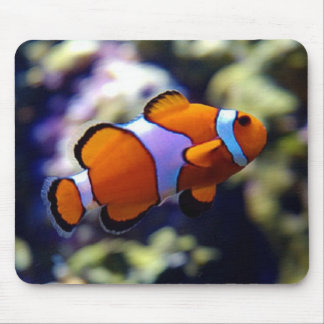 Tapis De Souris poissons de clown
