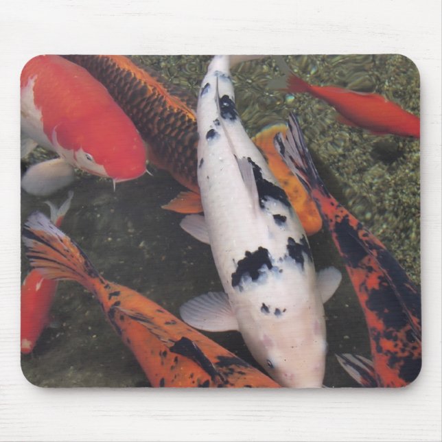 Tapis De Souris Poissons de Koi (Devant)