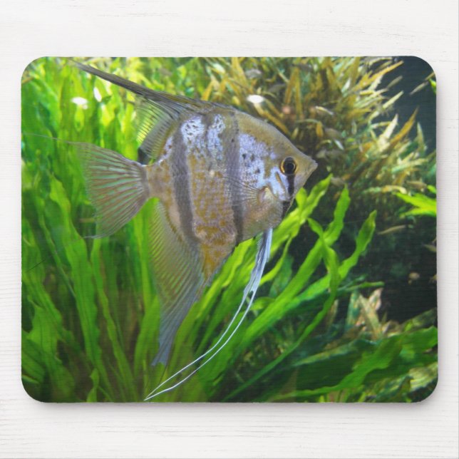 Tapis De Souris Poissons Mousepad d'ange (Devant)