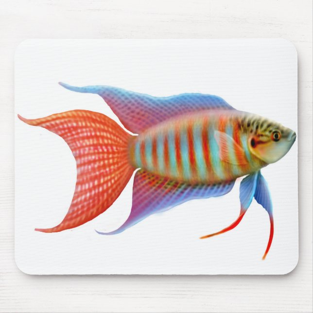 Tapis De Souris Poissons Mousepad de Gourami de paradis (Devant)