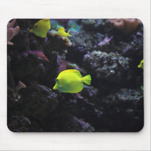 Tapis De Souris poissons, poissons, mer