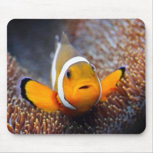 Tapis De Souris Poissons tropicaux de récif - Clownfish