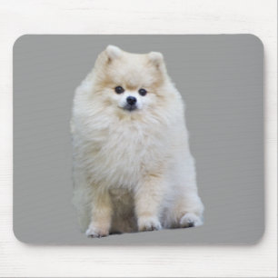 Tapis De Souris Pomeranian Mousepad