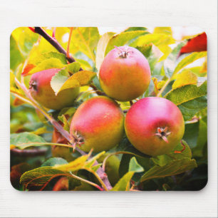 Tapis De Souris Pommes sur l'arbre