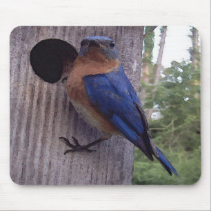 Tapis De Souris Pondoir Mousepad d'oiseau bleu
