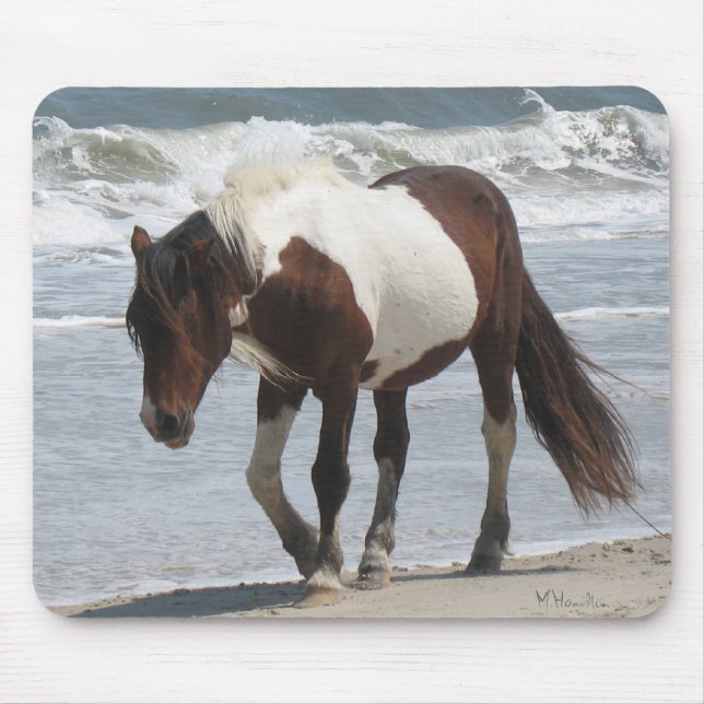 Tapis De Souris Poney d'île d'Assateague (Devant)
