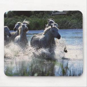 Tapis De Souris Ponies de Chintoteague traversant la Manche