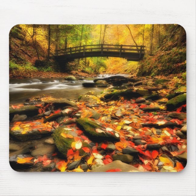 Tapis De Souris Pont en bois et crique dans l'automne (Devant)