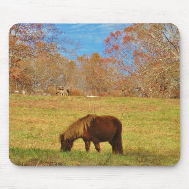 Tapis De Souris Pony miniature Brown (Devant)
