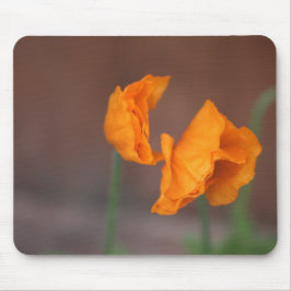 Tapis De Souris Poppies