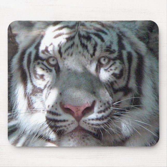 Tapis De Souris Portrait blanc de tigre (Devant)