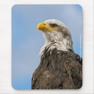 Tapis De Souris Portrait d'aigle à tête blanche Art animalier