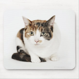 Tapis De Souris Portrait de chat de calicot