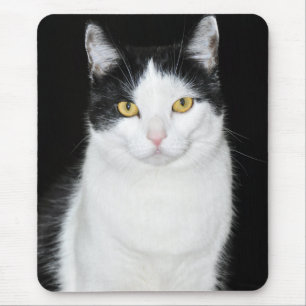 Tapis De Souris Portrait de chat noir et blanc