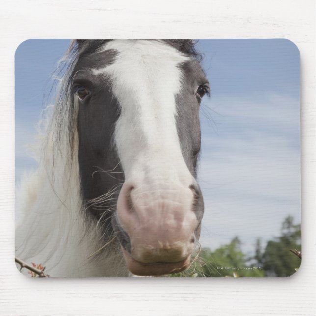 Tapis De Souris Portrait de cheval Clydesdale (Devant)