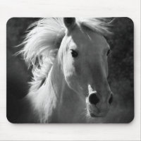 Portrait de cheval V