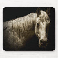 Portrait de cheval VI