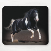 Portrait de cheval VIII