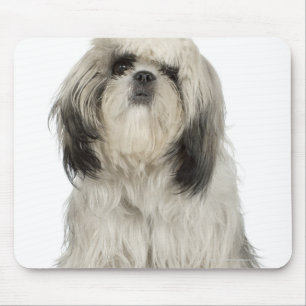 Tapis De Souris Portrait de chiot de Terrier tibétain
