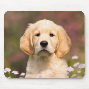 Tapis De Souris Portrait de coquelicot de chien Golden Retriever,