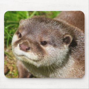 Tapis De Souris Portrait de loutre .......