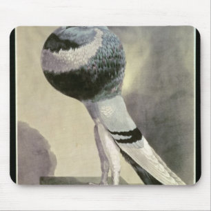 Tapis De Souris Portrait de pigeon de Pouter